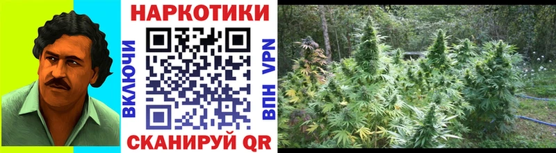 Магазин наркотиков Эртиль МЕТАДОН  Канабис  Alpha PVP  Гашиш  Псилоцибиновые грибы  МЕФ  КОКАИН 