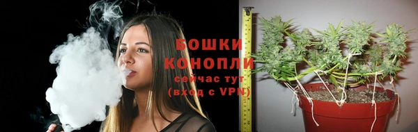 стафф Лихославль