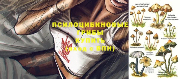 СК Липки