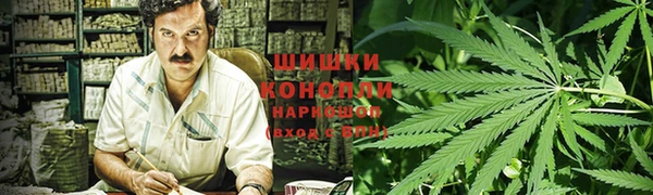 спиды Лиски