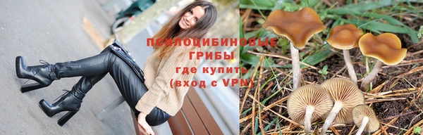 спиды Лиски