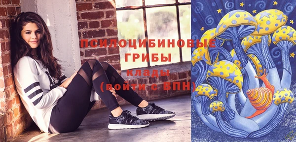 спиды Лиски