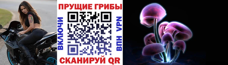 купить закладку  Эртиль  Псилоцибиновые грибы мухоморы 